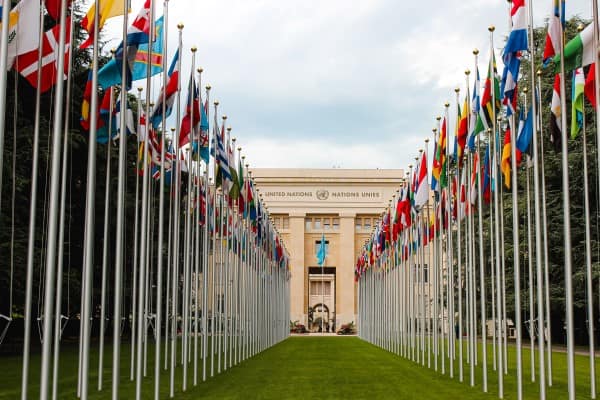 You are currently viewing What Degree to Study to Work for the UN? We Find Out